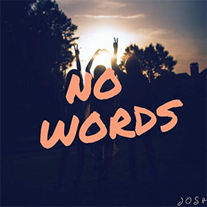 Disco No Words de Josh Contreras